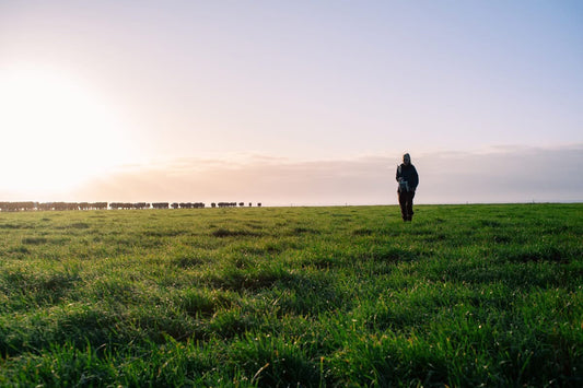 Behind the Stitches: The New Zealand Story of Native World